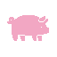Suini